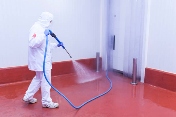 Reliable Russellville, AL Pressure Washing Services Solutions
